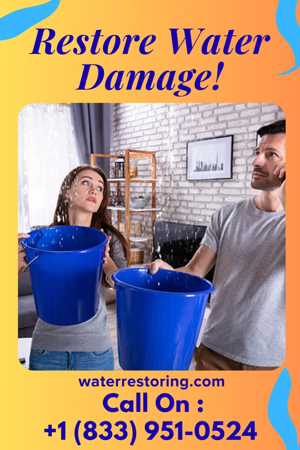 water restoration Titan Mitigation Pros Blawnox