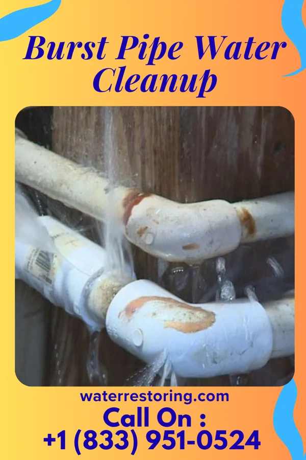 Burst Pipe Water Cleanup in Blawnox, PA