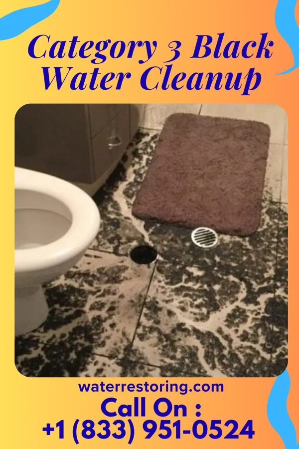 Category 3 Black Water Cleanup in Blawnox, PA