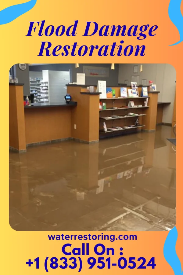 Flood Damage Restoration in Blawnox, PA