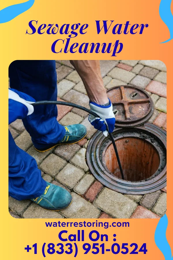 Sewage Water Cleanup in Blawnox, PA