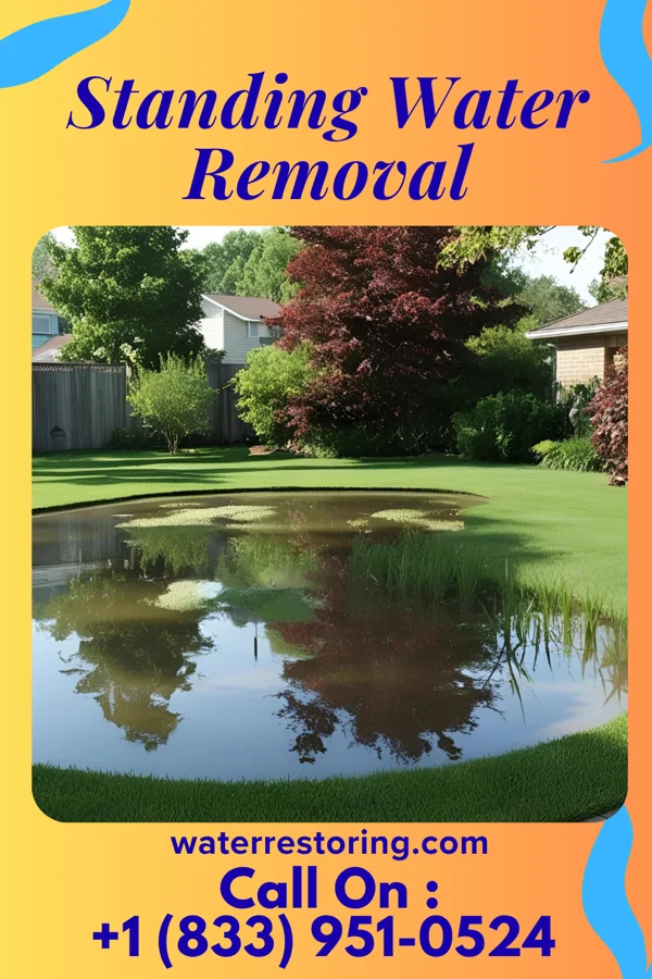 Standing Water Removal in Blawnox, PA